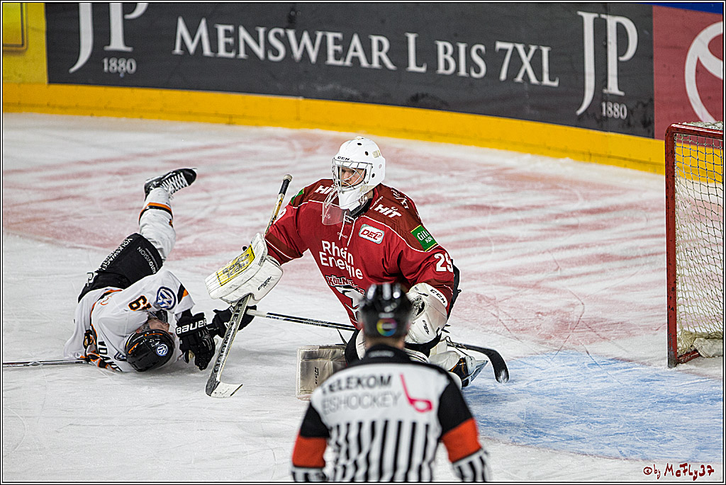 DEL, Koelner Haie - Grizzlys Wolfsburg, 07.03.2017